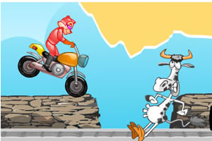 狐狸的私家赛车