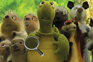 小动物神奇密码