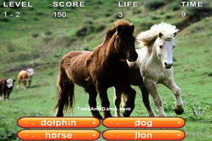 右脑英语动物世界