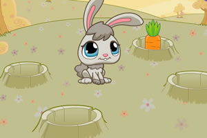 小兔子吃胡萝卜