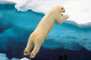 寻找隐藏字母29