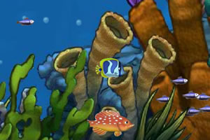 深海大鱼吃小鱼