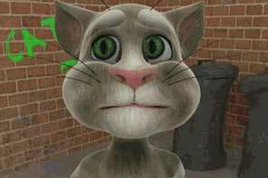 会说话的汤姆猫