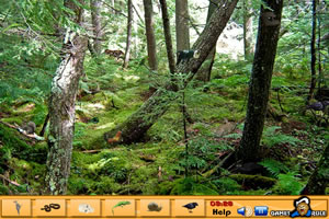 隐藏对象-丛林2