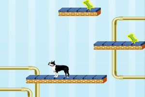 可爱狗狗下百层