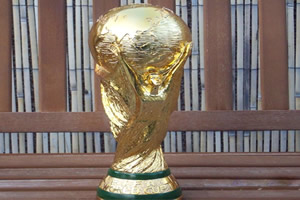 世界杯疯狂拼图