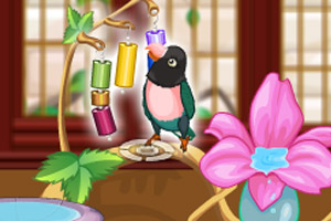 照顾小鹦鹉