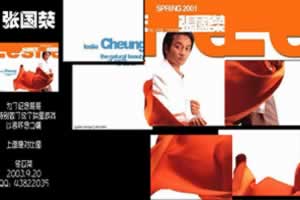 怀念哥哥-张国荣