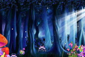 女孩的魔法梦境