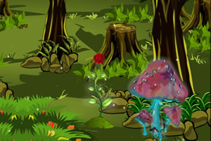 女孩的魔法梦境2