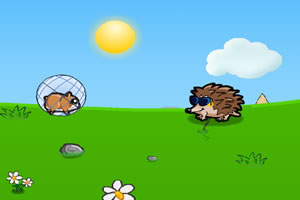 仓鼠的冒险之旅