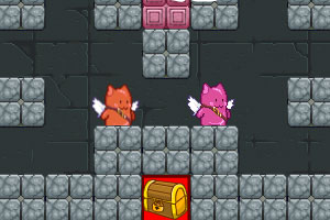 肥猫天使最佳拍档