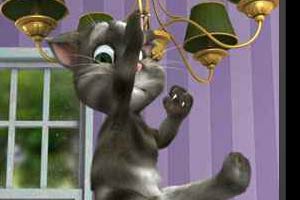 会说话的汤姆猫2