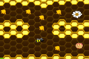 蜂巢迷宫