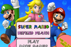 马里奥保护公主