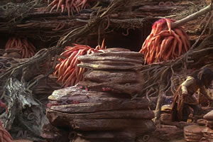 夜魔水晶找字母