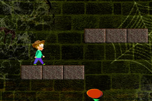 马里奥的崇拜者