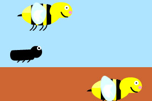 小小蜜蜂学飞行