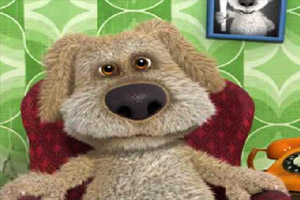 会说话的狗狗本