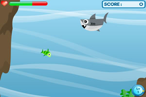 小鱼的生存挑战