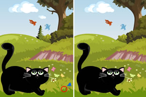 小黑猫厨房探险记