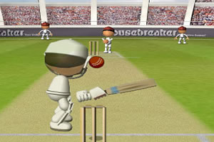 板球大赛2