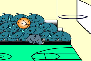 犀牛篮球赛