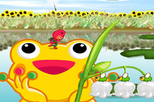青蛙跳花池