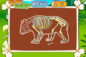 骨骼拼拼看