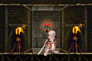 仙境传说之永恒无敌版