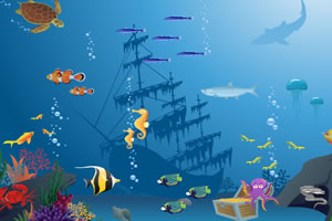 斑斓的海底世界