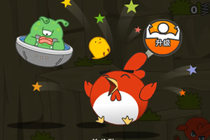 勇往直前的小鸡