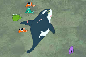 杀手鲸觅食无敌版