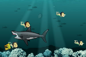 老葛大战食人鲨