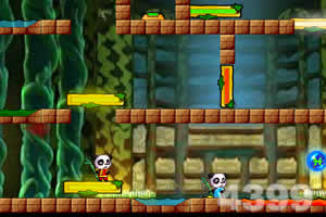 冰火熊猫大冒险