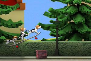 可爱小狗的一天