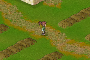 艾拉的农场生活无敌版