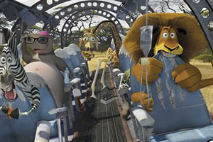 马达加斯加找东西