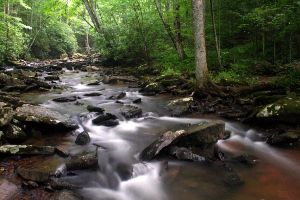 寻找隐藏的蜗牛
