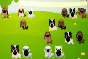 寻找丢失的小狗