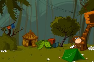 宠物家设计师:猴子公园