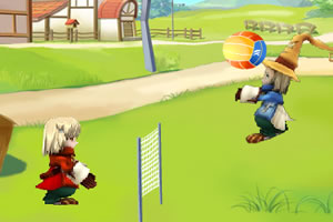 牧场物语之排球