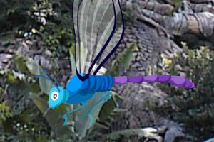 寻找隐藏的蜻蜓