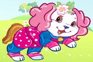 装扮你的宠物狗