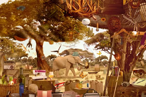 野生动物园找东西