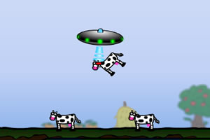 飞船运送奶牛