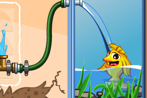 给金鱼灌水选关版