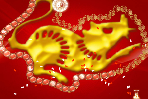 十二生肖翻翻看