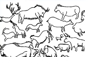 多种动物填颜色