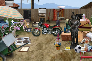 小龙回家找东西